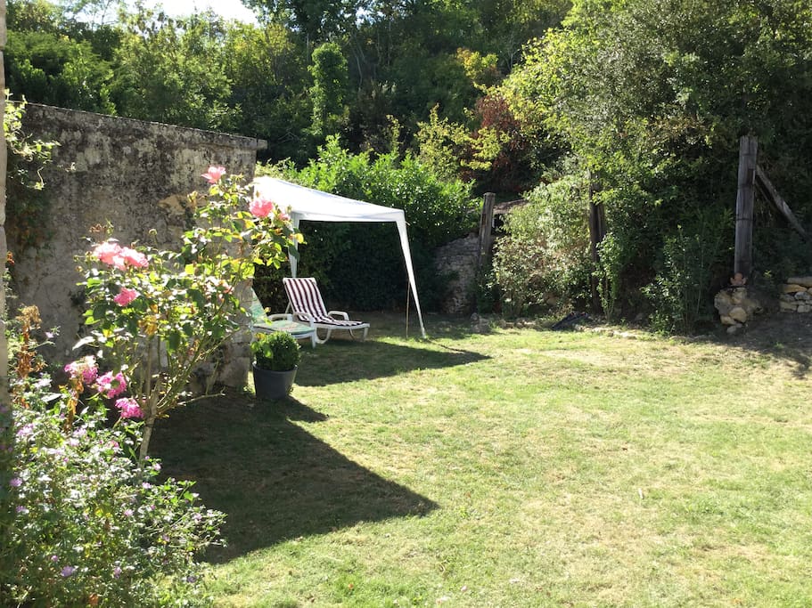 jardin à l'arrière de la maison
