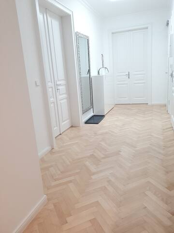 95m2 Wohnung vis a vis Hundertwasserhaus gallery image 3