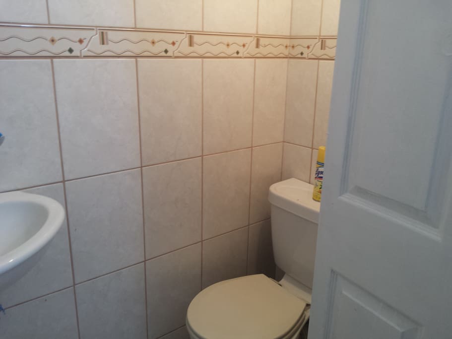 The toilet