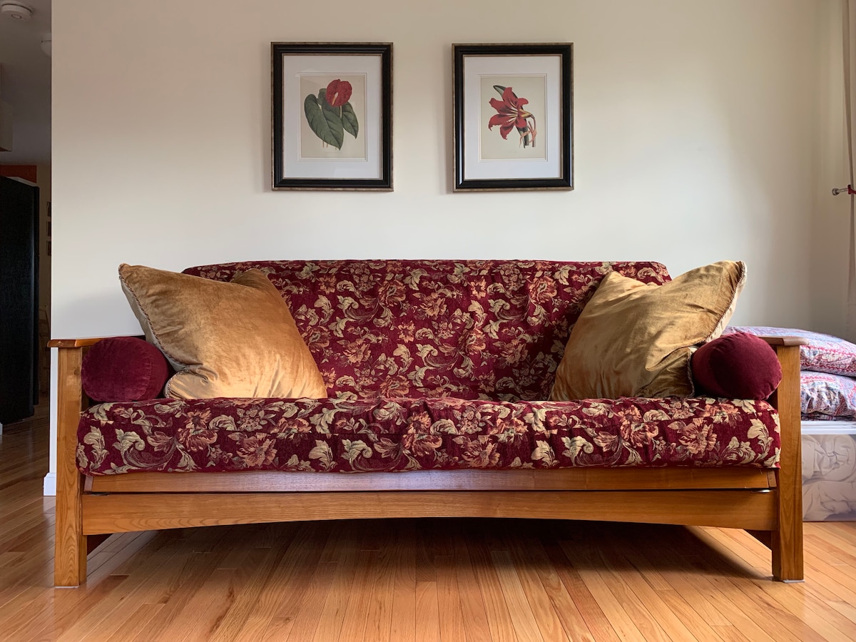 Popular Airbnb listing: North Street Nest, sunny downtown apartment in Springfield