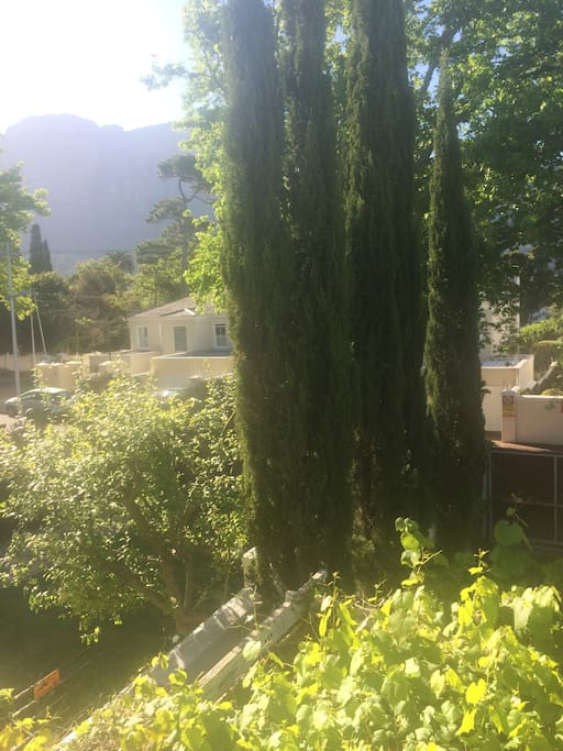 view from living room balcony