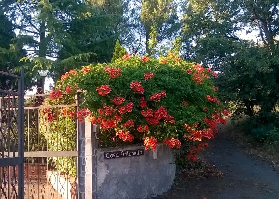 entrance