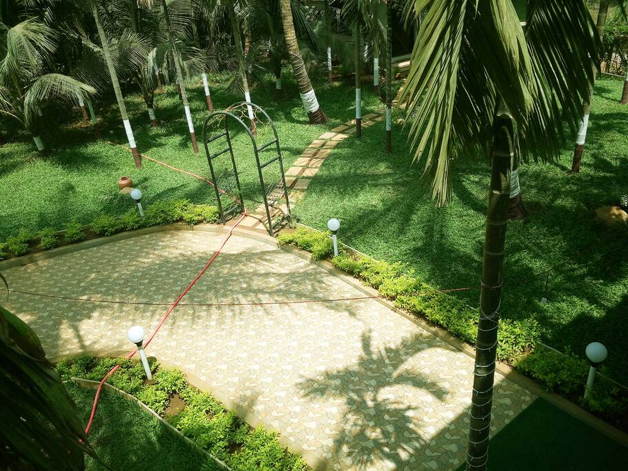 The garden