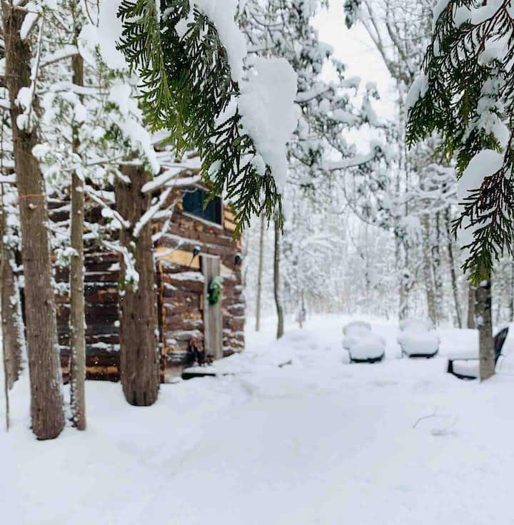 ASH, the tiny cabin in the woods + Spa Tiny houses for Rent in