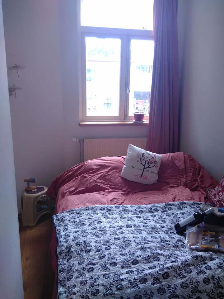 Casa Vrolik, Amsterdam, Oosterparkbuurt BnB 2pp.