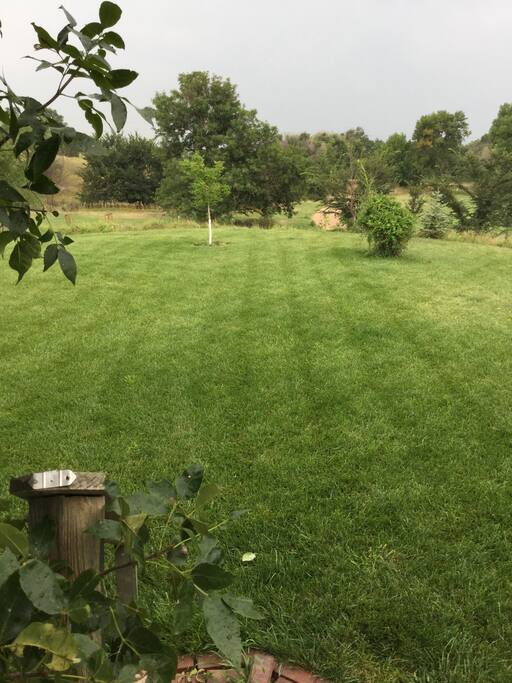 Front yard
