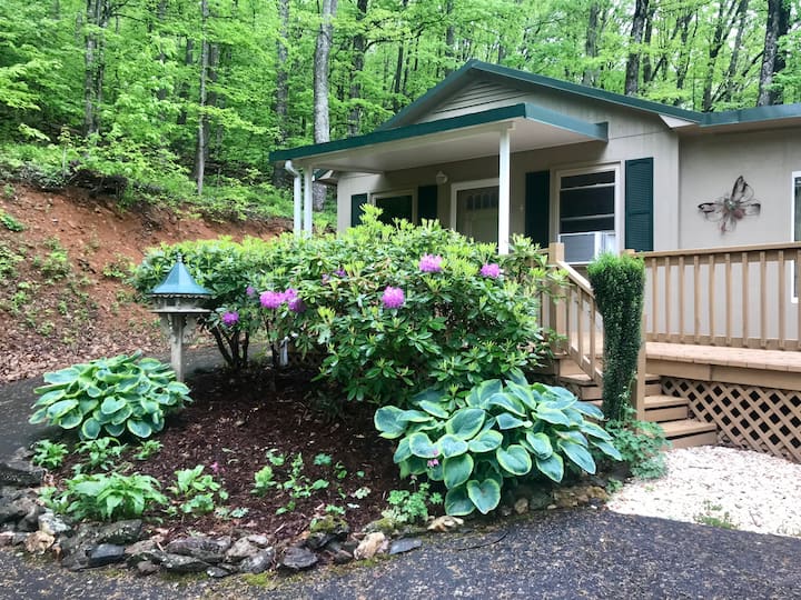 West Jefferson Cabin Rentals Cabins and More Airbnb