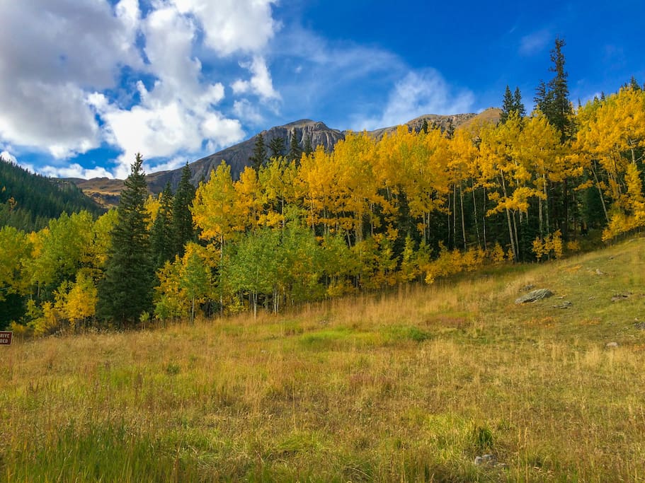 Pagosa Springs incredible golden aspens in the fall!