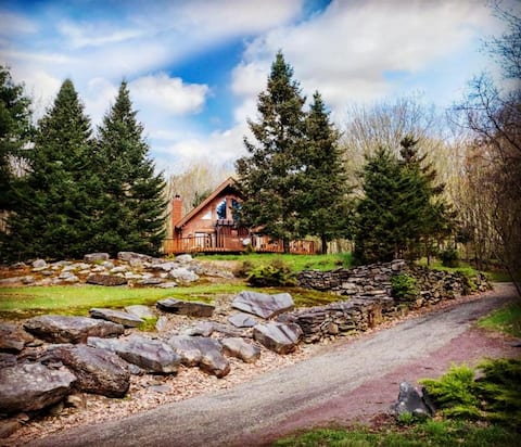 Dino's Black Bear Cabin