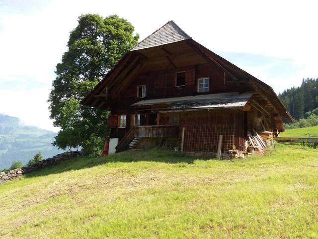 Sennhütte Mederweid Horboden