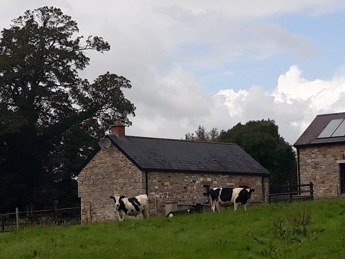 Enclosure in Ballymulmore