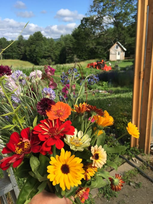 Flower Garden, Greenhouse, and Camping Cabin