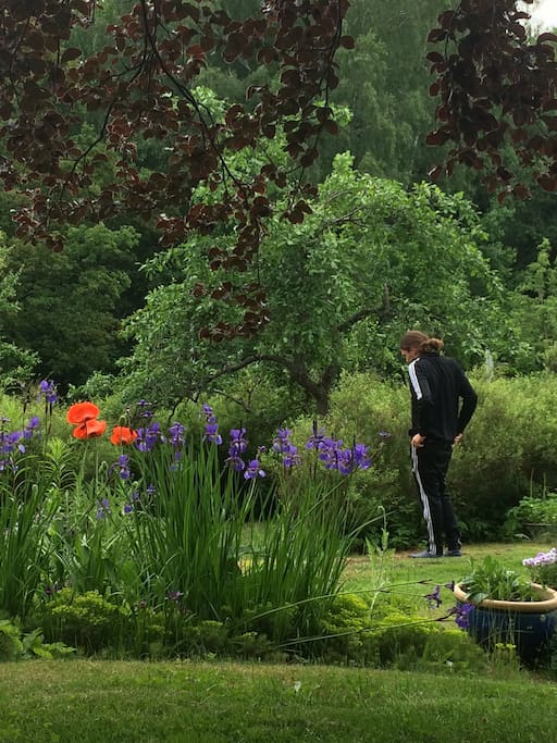 A wonderful garden!