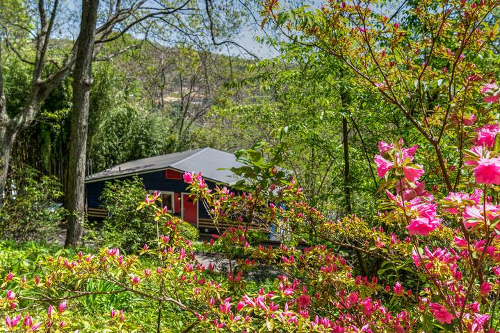 Two Separate DT Asheville MNT Chalets-Zurich 9A&9B gallery image 2