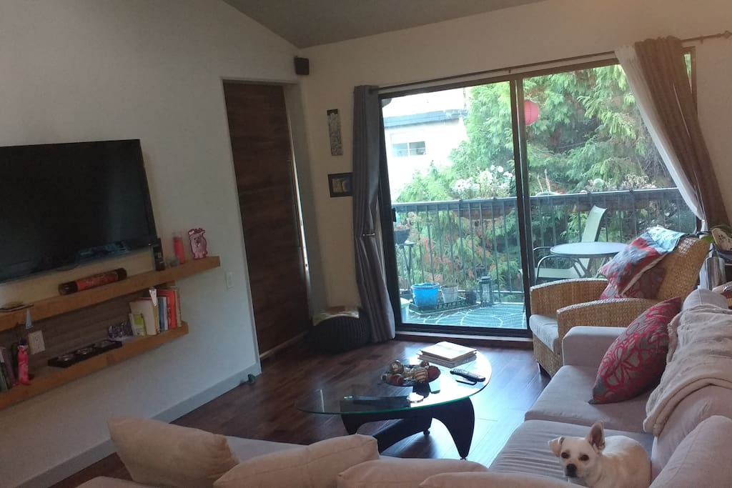 Living room (dog not included). Living room is very bright with an extra size sliding door and a skylight (my pictures do not give this justice)
