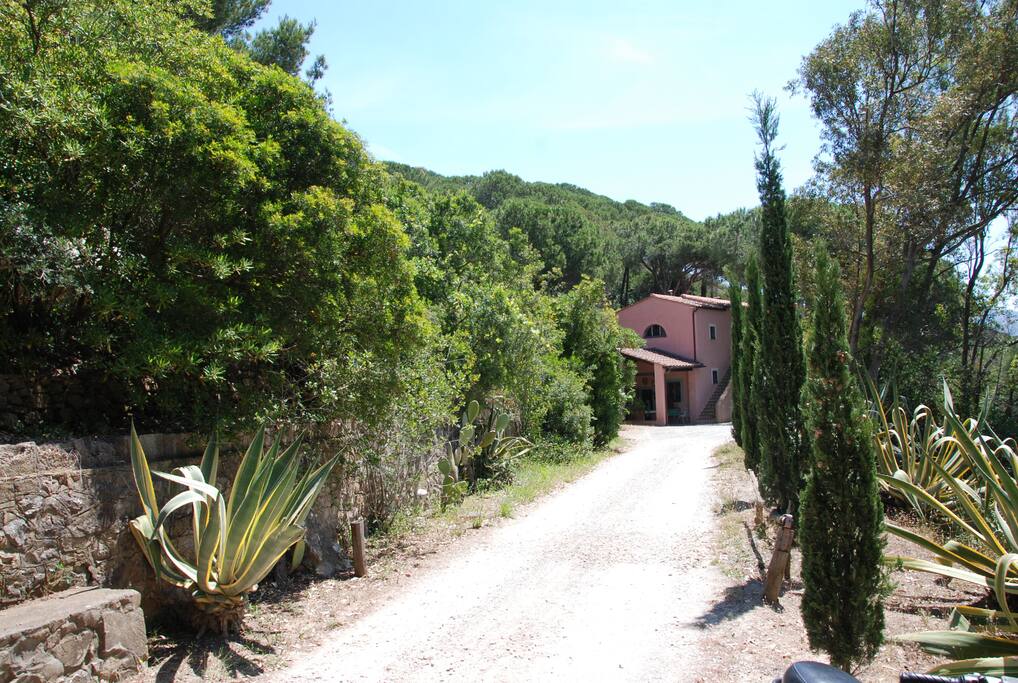 esterno
