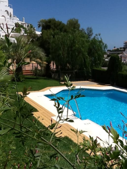 Pool and Gardens