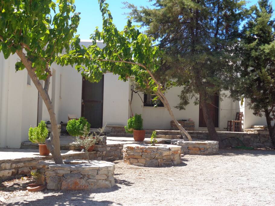 Τα studios από την πλευρά της εισόδου τους με τις μουριές.
