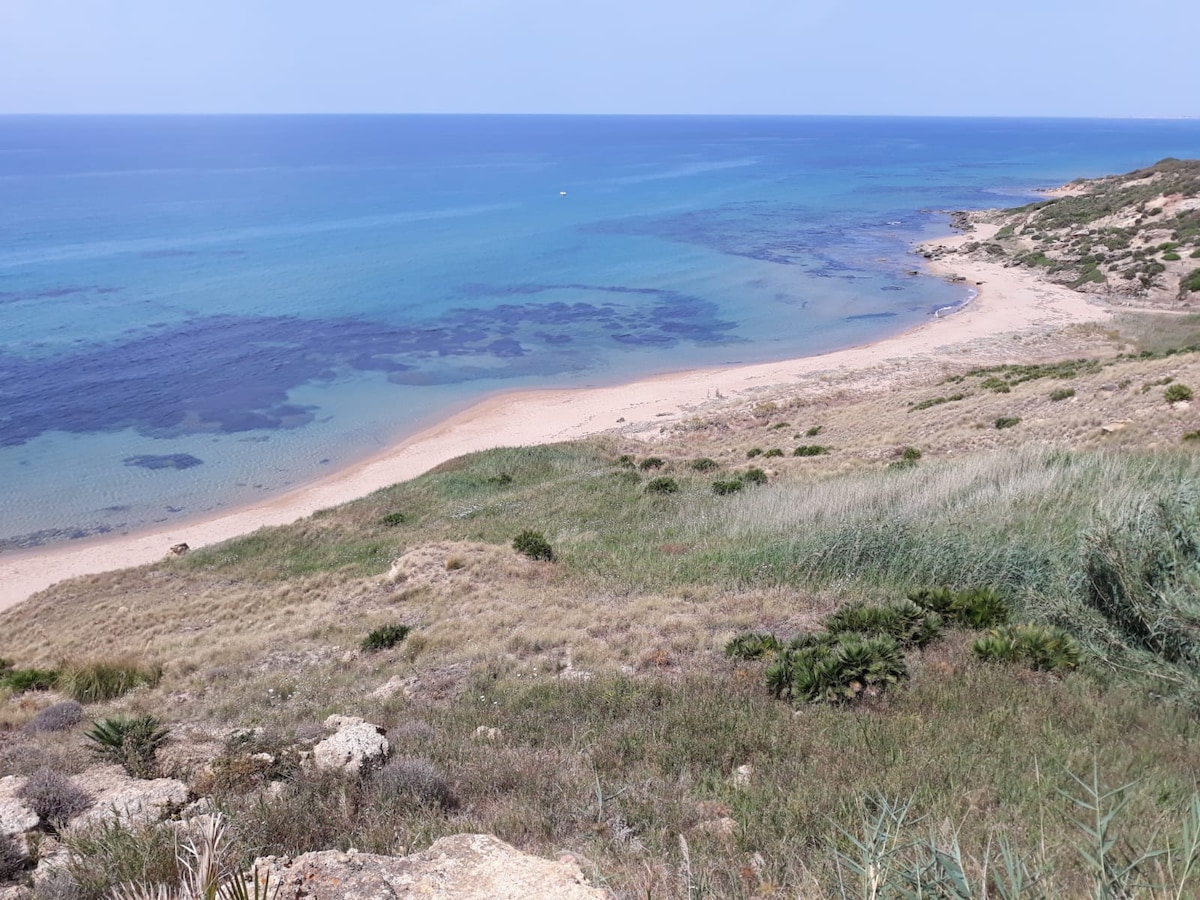 A serene coastal landscape showcases a gently curving sandy beach bordered by clear turquoise waters. Lush green vegetation and rocky outcrops are visible on the surrounding hills, contrasting with the sandy shoreline. The natural beauty of the serene beach environment invites relaxation and exploration.