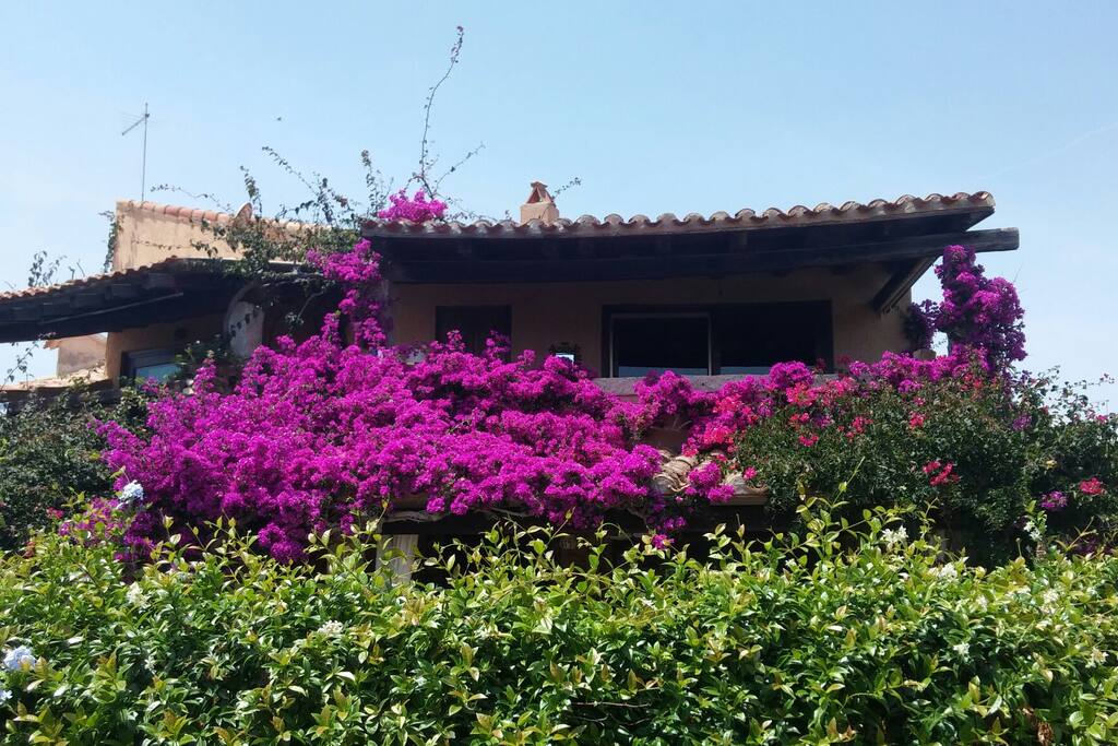 appartamento al primo ed ultimo piano di villetta di testa/ apartment on top floor of small villa