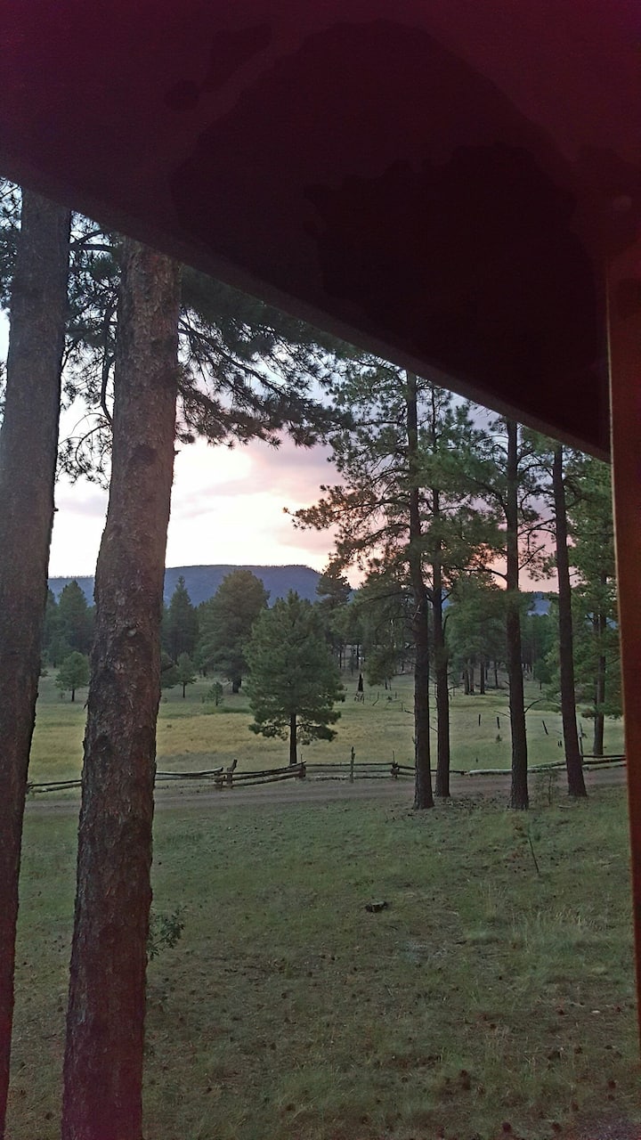 8 Amazing Cabin Rentals In Alpine, Arizona Updated 2023 Trip101