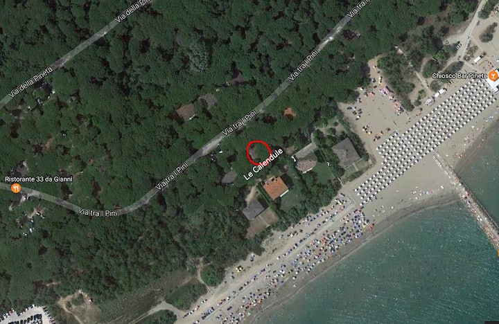 Le Calendule TS apt.: garden and beach
