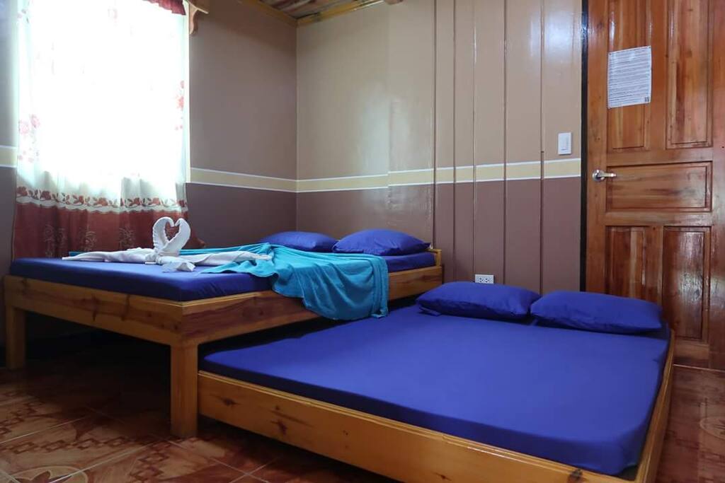 Standard room-1 Queen Bed, with 1 pull-out Queen Bed