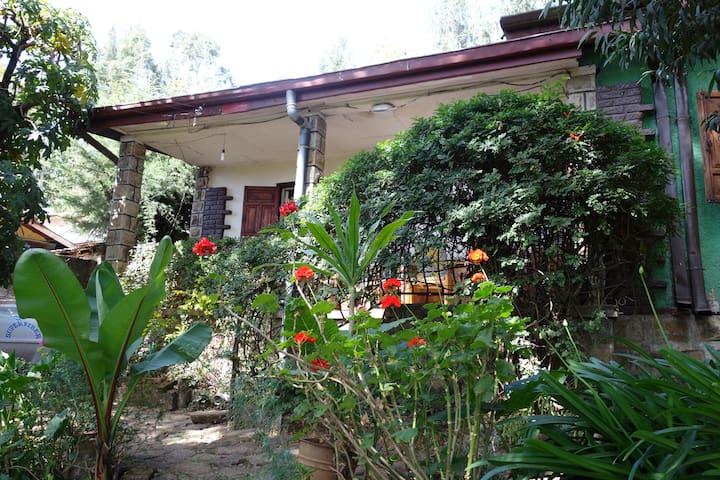 Enchanted house in a magical garden
