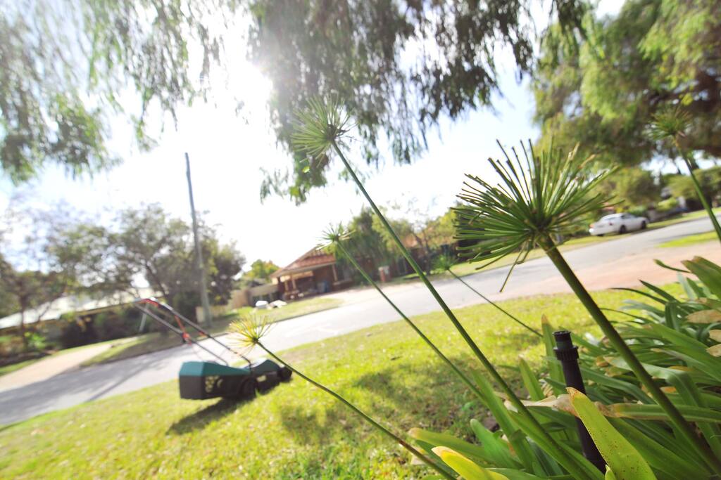 Wake up to the bright and green front yard; looking out from the master bedroom.