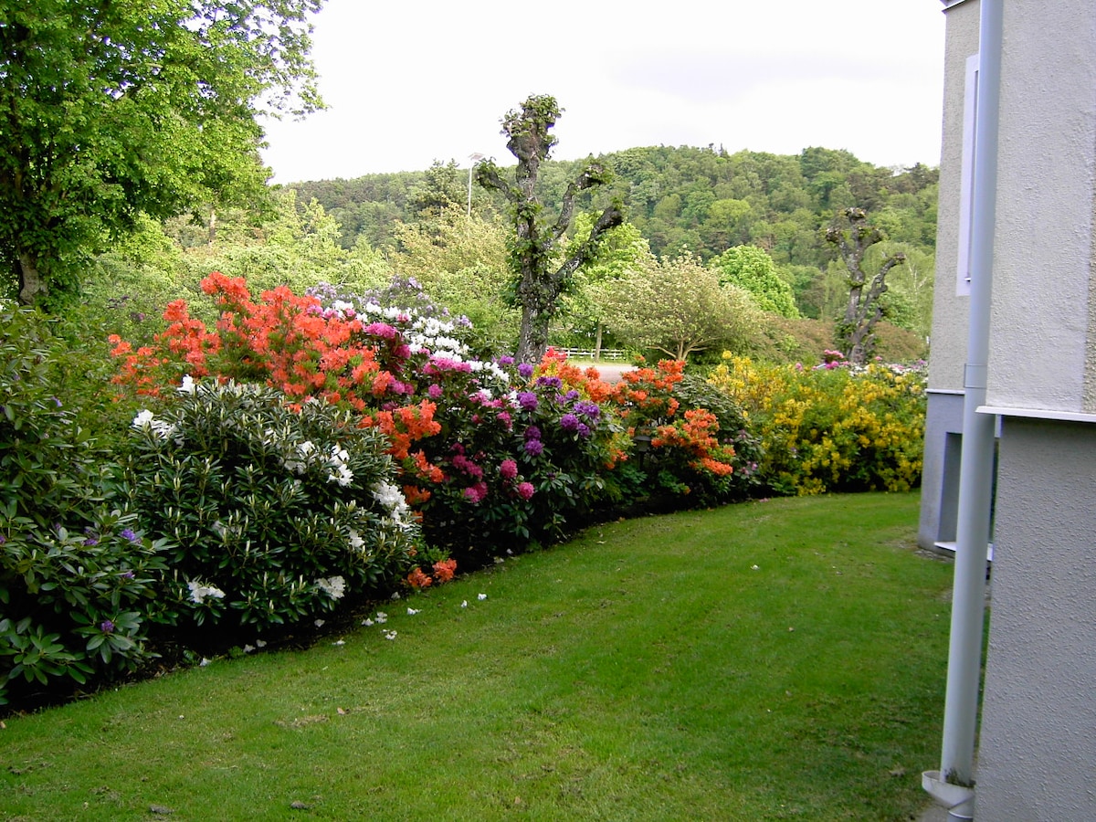 A vibrant garden area is displayed, featuring a variety of flowering shrubs in shades of white, orange, and purple. Lush green grass borders the garden, creating a natural setting. The background includes softly rolling hills covered with greenery, contributing to a peaceful atmosphere.