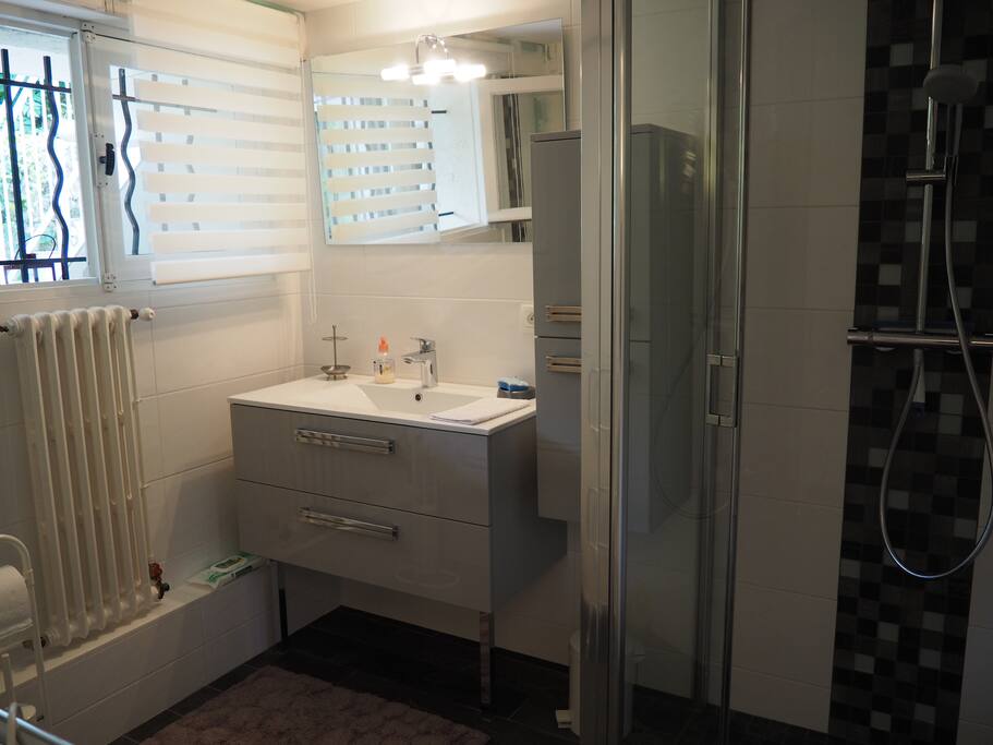 Salle d'eau avec douche à l'italienne et WC