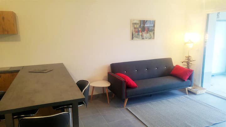 Villa Du Parc - Rez-de-jardin & Thermes - Thonon-les-Bains