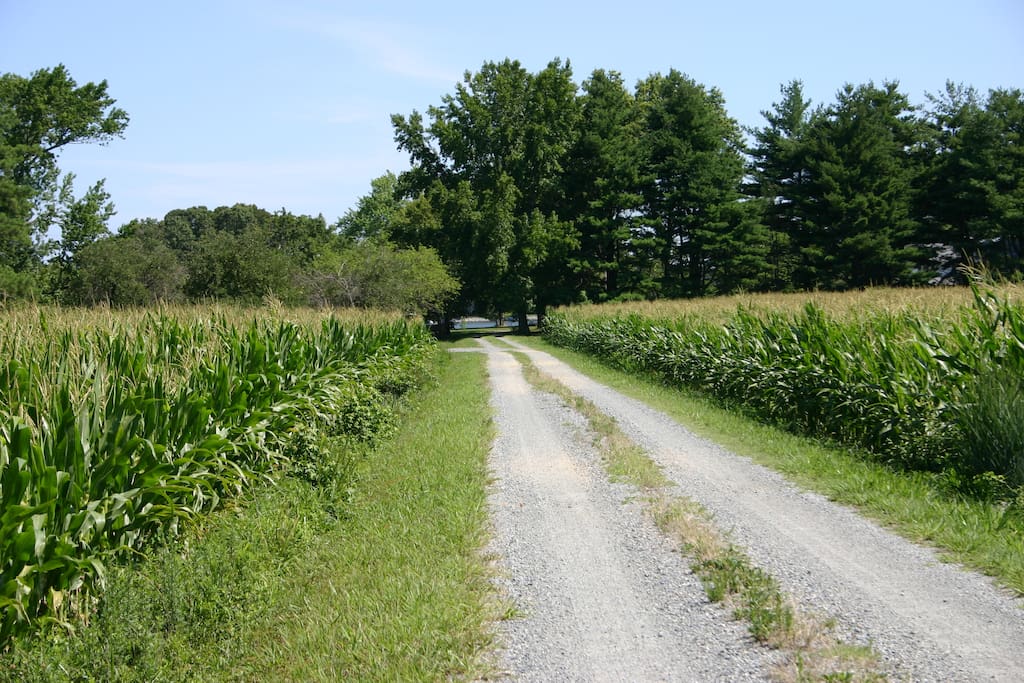 Our lane