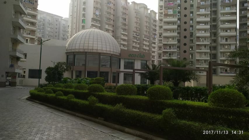 Fully Furnished 2BHK in Sector 137 Noida