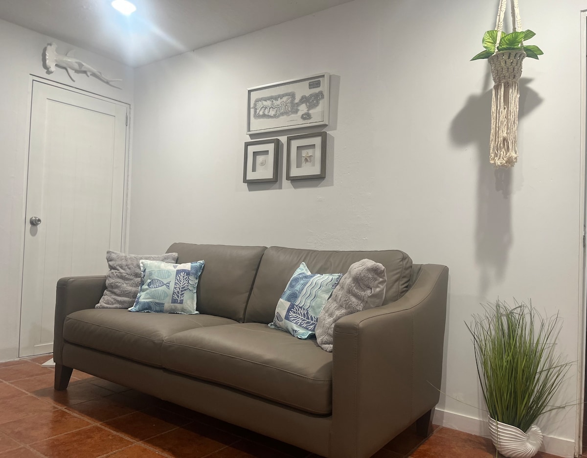 Top performing Airbnb: The Octopus in Aguada