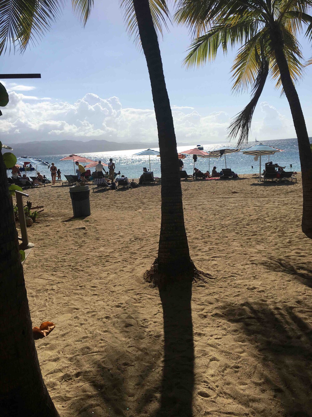 A sandy beach scene is presented, featuring palm trees providing shade. Sunbathers are visible on lounge chairs, while colorful umbrellas dot the shoreline. The glistening water reflects the sunlight, with a distant view of a boat on the horizon beneath a partly cloudy sky.