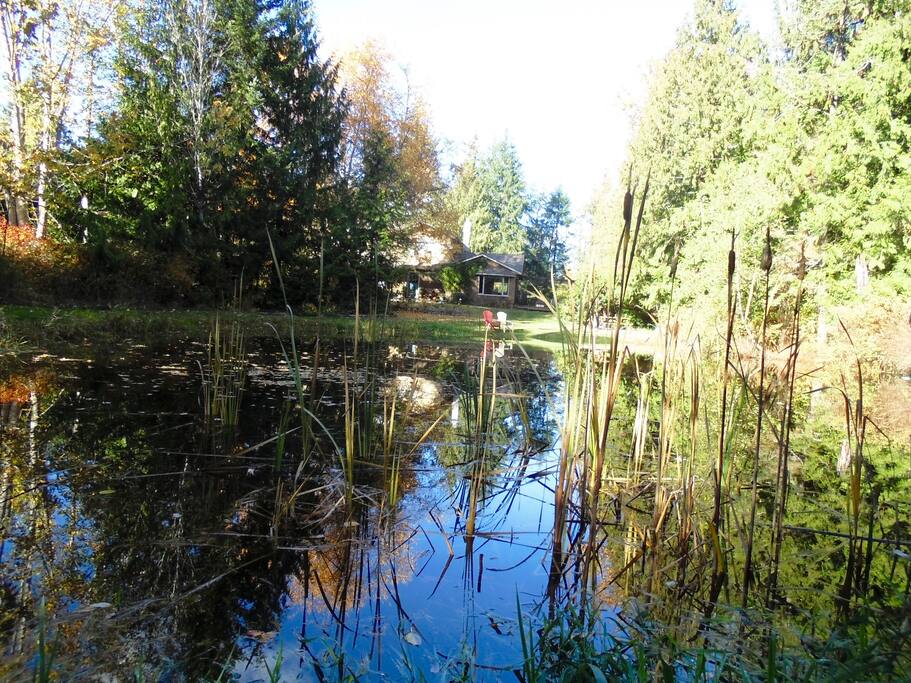 A quiet spot