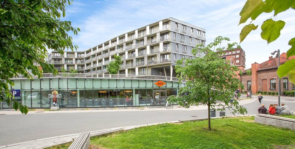Modern, sunny apartment in Oslo (Grünerløkka)