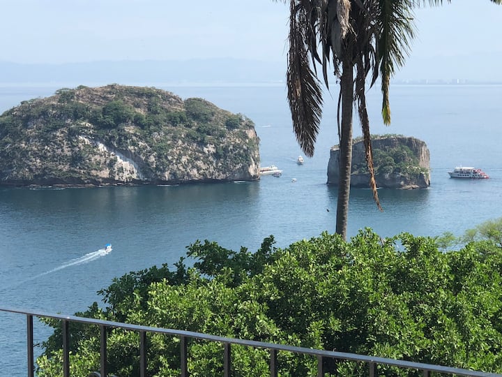 House with excellent views of the sea and jungle