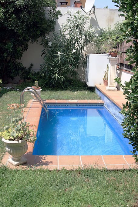 Climatized pool