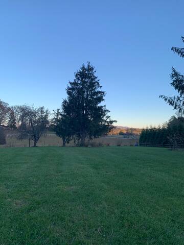 Mountain View’s Near Sierra Nevada Brewing