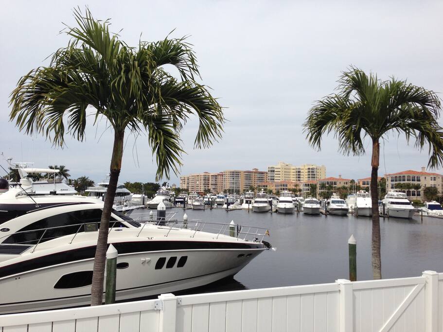 Harbor View