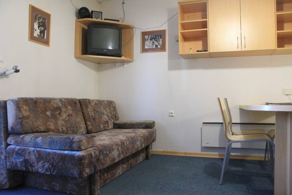 Living room with sofa bed