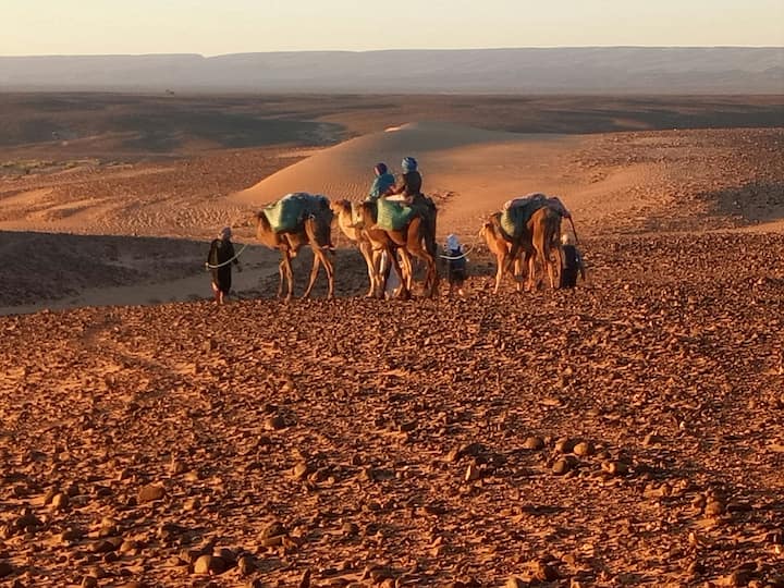 Bivouac sahara peace