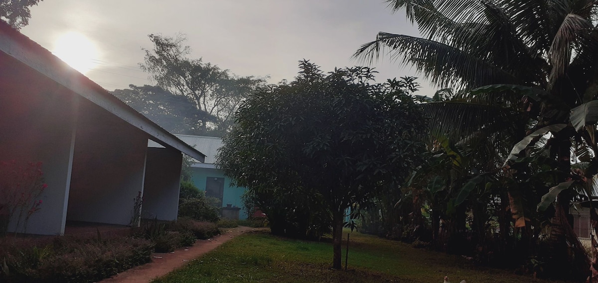 A serene outdoor area is surrounded by lush greenery, including a prominent tree and various tropical plants. The early morning sun casts a soft glow over the scene, featuring a path leading towards multiple buildings in the background.