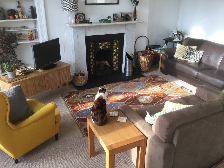 Open fire and cable TV