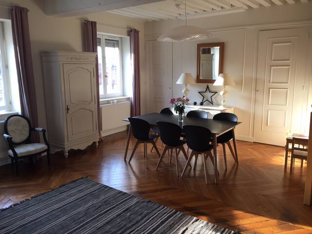 Duplex 200m2 Lyon Presqu’île gallery image 3