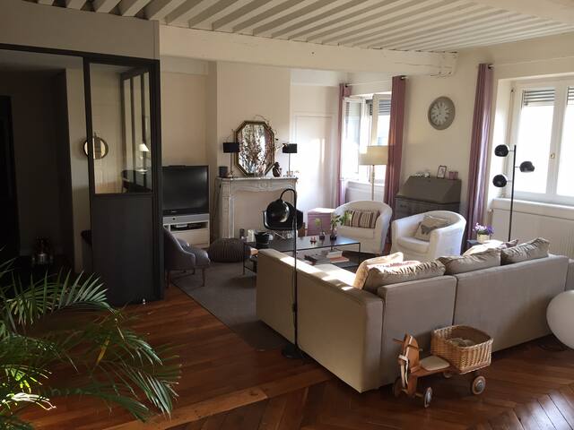Duplex 200m2 Lyon Presqu’île gallery image 2