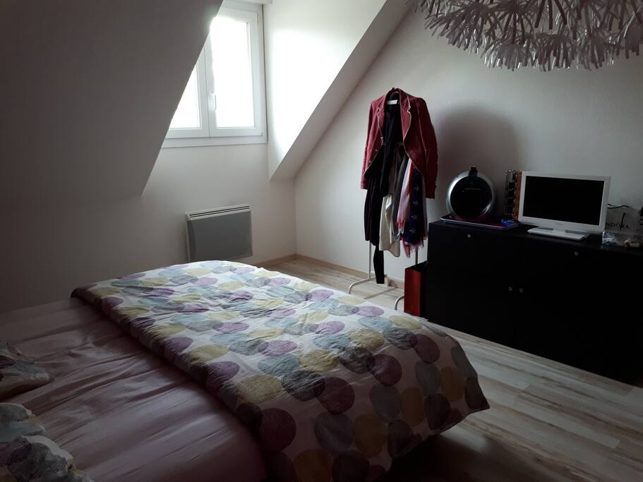 Chambre spacieuse de 17m2