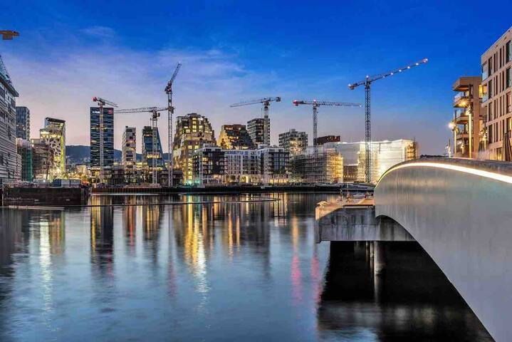 Seafront apartment in Oslo gallery image 3